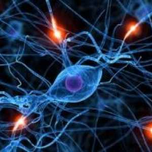 Boli ale sistemului nervos periferic și neuron cu motor