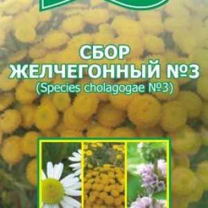 Medicamente de pancreatită coleretice, colectare plante aromatice